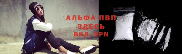 спиды Михайловск