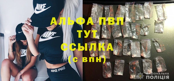 крисы Бабаево